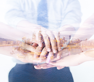 ��۹�˾���Ʋ�ѯ