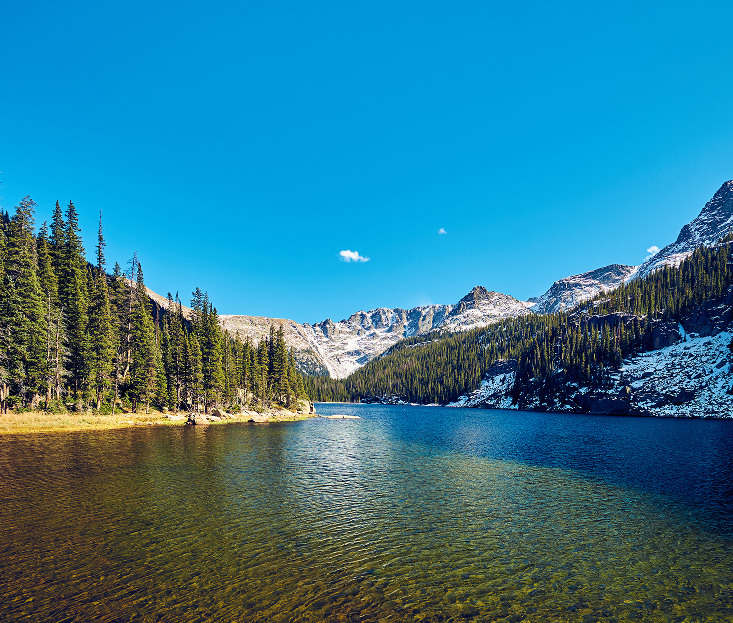 ��۴�ҵ�����еĳ���