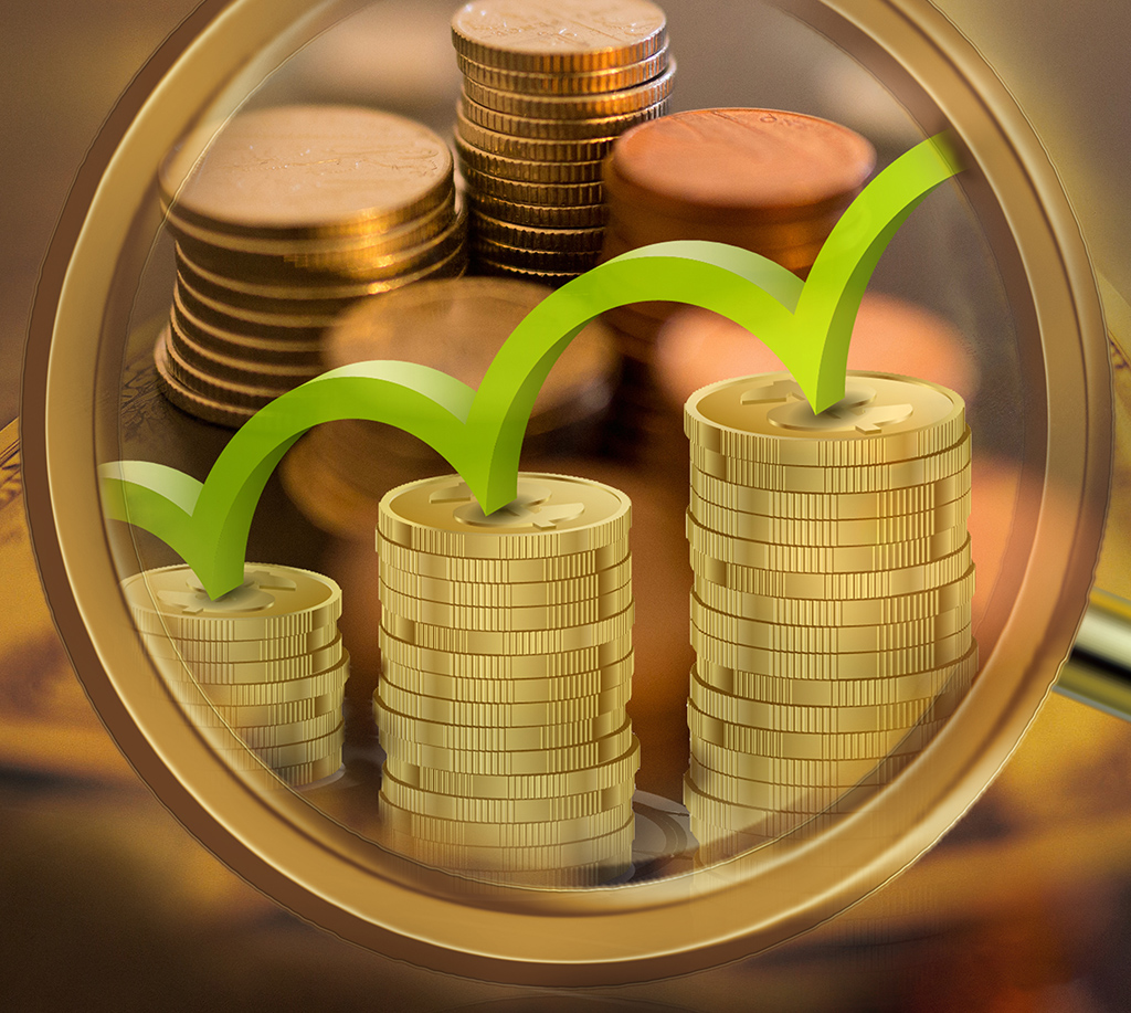 ���������밶�������