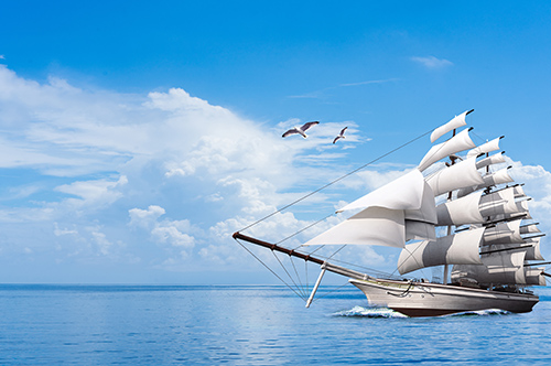 �Ż�����Ͷ���������� ������ҵ����