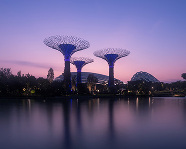 ���ⷿ��Ͷ���������