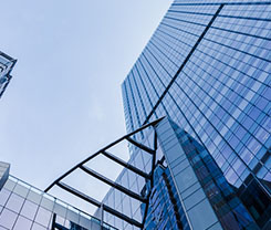 ������˾����