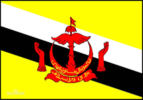 ������˾ע��ķ���Ҫ��