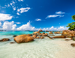 ע��¬ɭ����˾��ȡ������