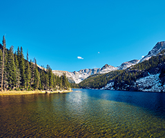 ע�����˹��˾������������