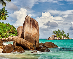 ע�����˹��˾�ĸſ�