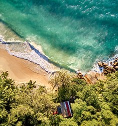 BVI��˾ע������