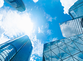 ע��BVI��˾����