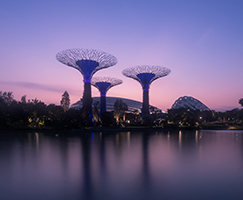 �������˾ע��涨