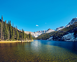 ��������˾��ע��涨