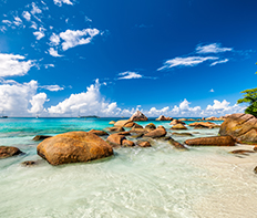 ��۹�˾��֤�ĸ���