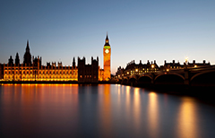 �밶���л��������