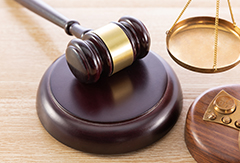 �밶�˻���Ҫ�ṩ��Щ����